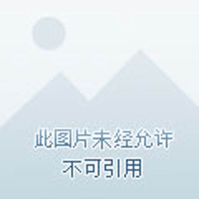 艾草种植前景如何？一年利润能有多少？这些问题让许多农民和创业者充满好奇。今天，我们就来详细探讨一下。