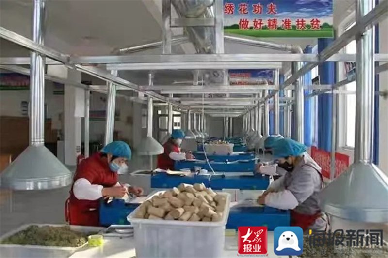 艾草种植方法全流程解析