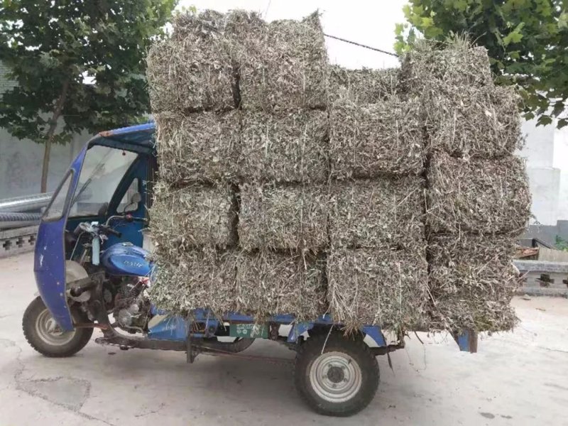 艾绒的价格因地区、品质和销售渠道而异，你了解这些差异吗？